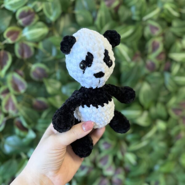Panda - Image 4