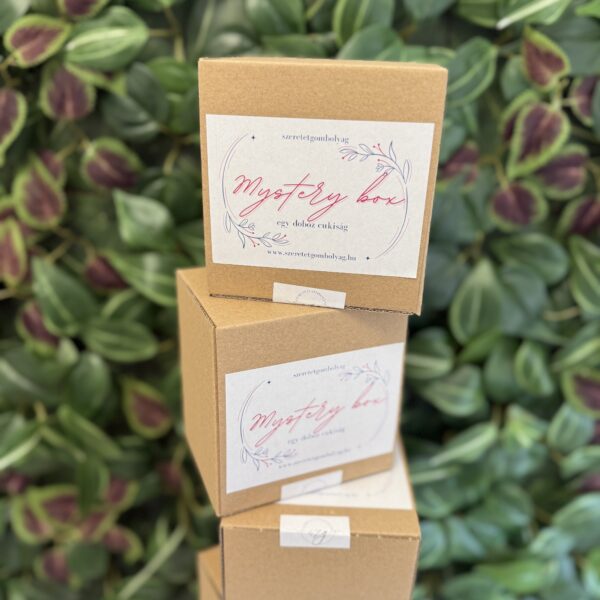 Mystery box | kicsi - Image 3