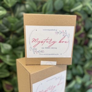 Mystery box | kicsi