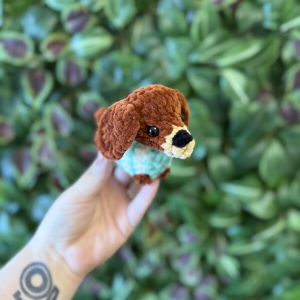 Mini tacsi - Image 2