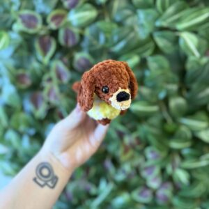 Mini tacsi
