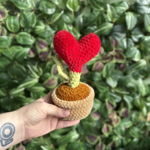 Cserepes szív virág